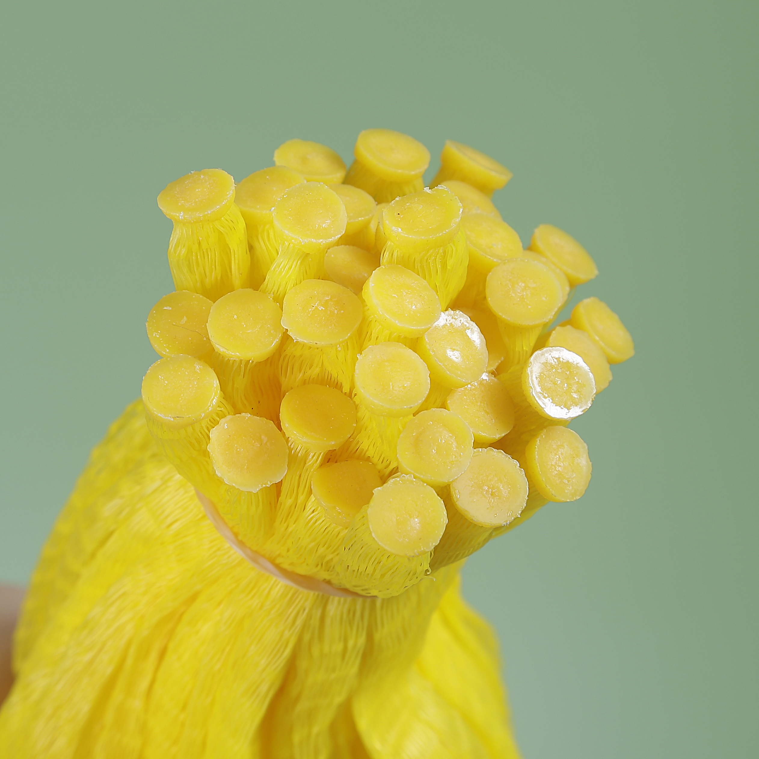 Strängpressade nätpåsar av plastnät i rullförpackning Vitlök Lök Fruktägg Rörformade näthylspåsar